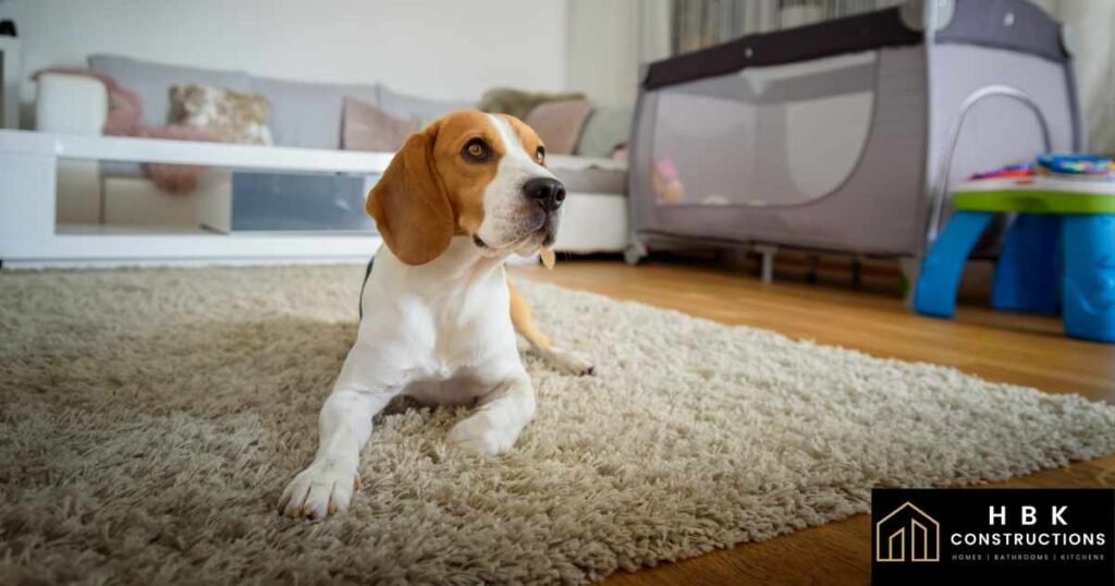 How to Care for your Pets During a Renovation